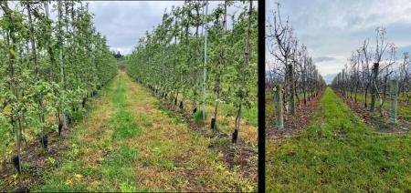 北海道の果樹生産法人において初！TRAILIX（トレイリ