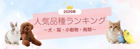 SBIプリズム少短【2026年度最新】　　　　　　　　　