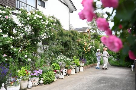【埼玉県北本市】今年で11回目！例年2,000～3,000人が