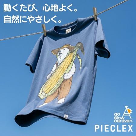 go slow caravan×”電気の繊維”ピエクレックスシリーズ