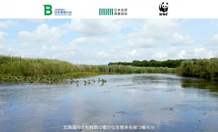 北海道・ラムサール条約湿地ウトナイ湖の生命線「美々