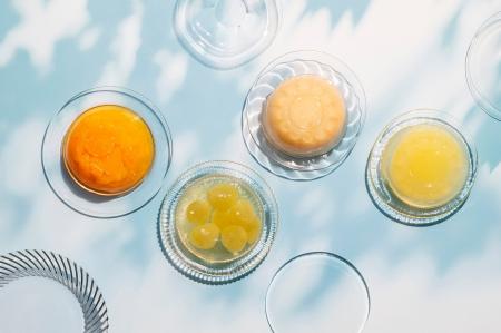 【キル フェ ボン】旬の果実のおいしさをそのまま閉じ