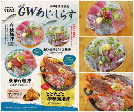 GW限定「あじ・しらすフェア」開催！小田原漁港utf-8