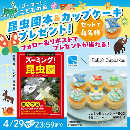 【秀和システム新社×ベラズカップケーキ】GWは親子で