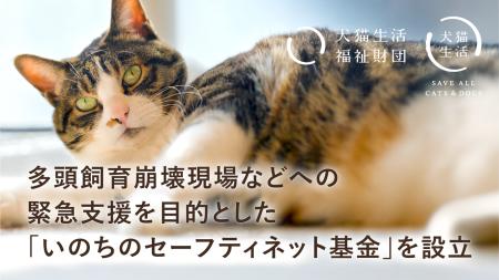 犬猫生活福祉財団、多頭飼育崩壊などの緊急レスキュー