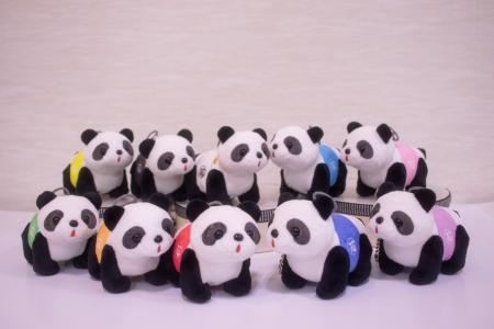 花やしきのパンダカーが10色に！推し活パンダカー発売