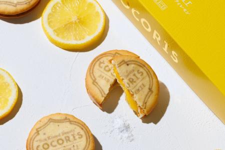 ≪ 待望の新味・雪塩×レモン≫【COCORIS】 より『サンド