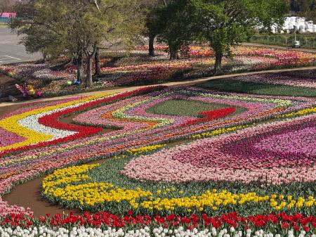地域と咲かせる希望のバトン「スーパーレインボーフェ