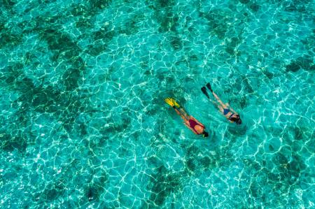 アースデイを記念して、アヤナ コモド ワエチチュ ビ