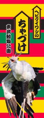 5月17日＝お茶漬けの日は、ヘビクイワシ「ちゃづutf-8