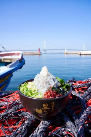 淡路島の生しらす4月25日(土)開幕！累計800万食utf-8