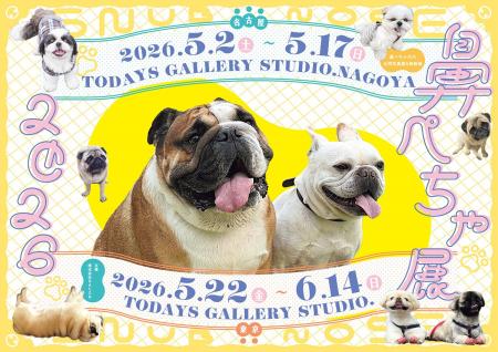 ぶひ可愛い♪パグ・シーズーなど「鼻ぺちゃ犬」作品が