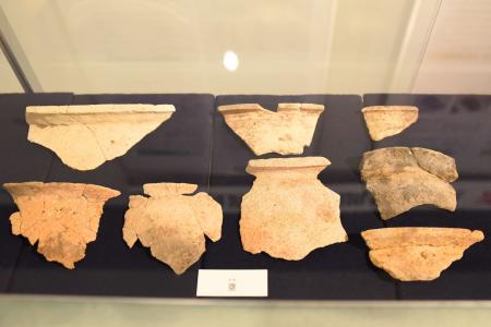 加茂遺跡 発掘調査成果速報展を開催 / 兵庫県川西市