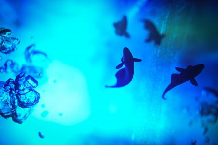 THE GALLERYセレクション展水咲 奈々　写真展「Gradua