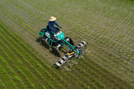 幸手市にて有機米「幸ヒカリ」の産地づくりを推進