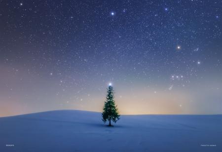 星空写真家KAGAYAの光輝く世界をご自宅に。光を透過す