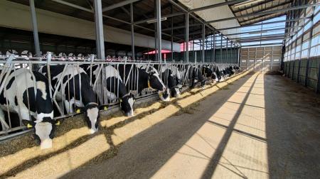 藤井牧場、国内初・乳牛最大級となる家畜排せつutf-8