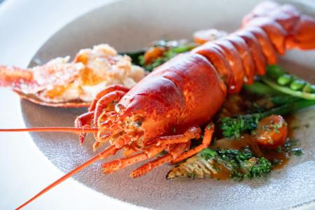 ゴールデンウィーク限定メニューが登場！～地中海へ食