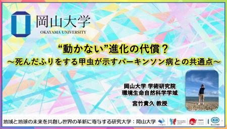 “動かない”進化の代償？～死んだふりをする甲虫が示す
