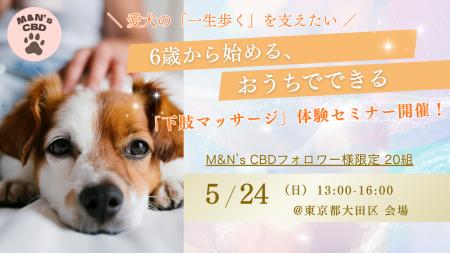 「愛犬の“一生歩く”を支える」プレシニア向け下肢マッ