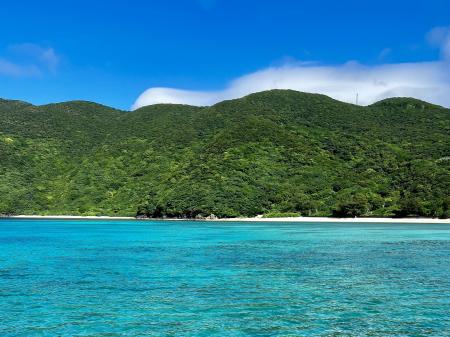 FP事務所ウィンカムが奄美大島で「海洋散骨」を開始