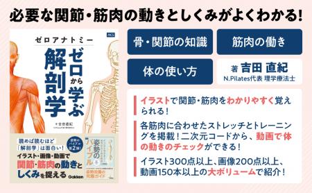 【イラスト・写真・動画で完全網羅】関節と筋肉の働き