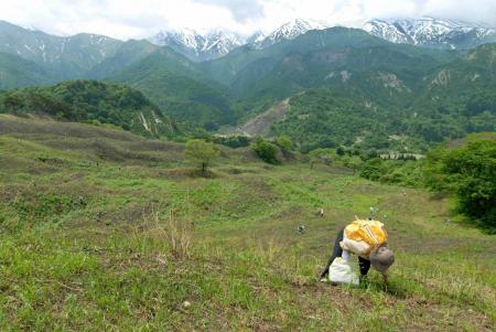 【山形・置賜】小国町ならではの食と自然を満喫！絶景