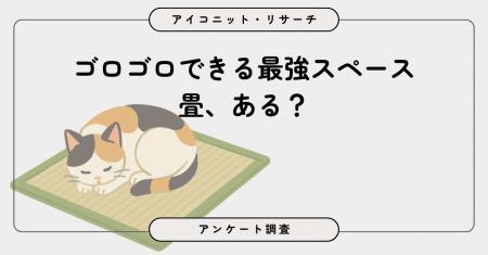 和室ありは約5割、「不便」の声も多数　現代の畳事情
