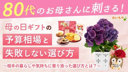 【楽天年間ランキング3年連続1位】80代のお母さんに刺