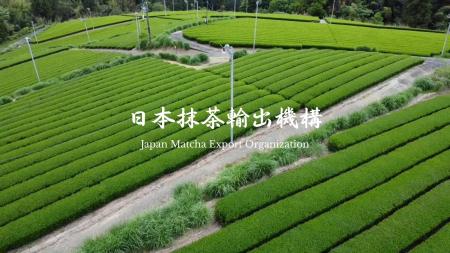 抹茶ブームで深刻化する仕入れ難に対応。日本抹茶輸出