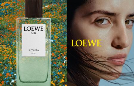 LOEWE Perfumes (ロエベ パルファム) が名古屋に新店