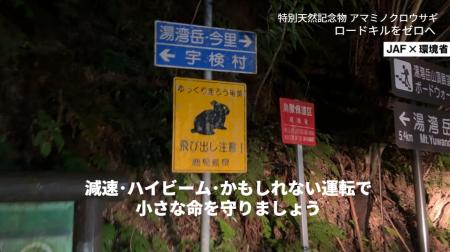 【JAF鹿児島】環境省と共同で「ストップ！ロードキル