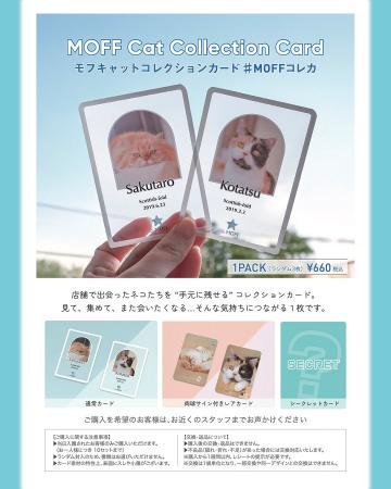 【GWはMOFFへ！】5月2日より同時展開！大人気『MOFF C