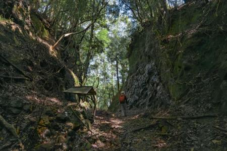 徒歩と公共交通でめぐる世界遺産の旅「熊野古道大辺路