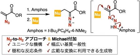 アジドからジアゾ化合物を一挙に合成する新反応を開発