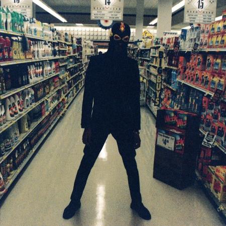 THEE MICHELLE GUN ELEPHANT、デビュー30周年プロジェ