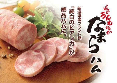 コロナ禍で売上9割減から、7億円へV字回復した老舗精