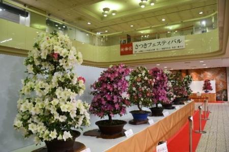 百花繚乱！満開に咲き誇る「さつきフェスティバル」開