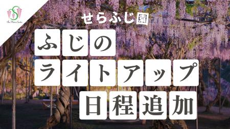 【広島／世羅】園内ライトアップの日程を追加します　