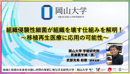 【岡山大学】組織侵襲性細菌が組織を壊す仕組みを解明