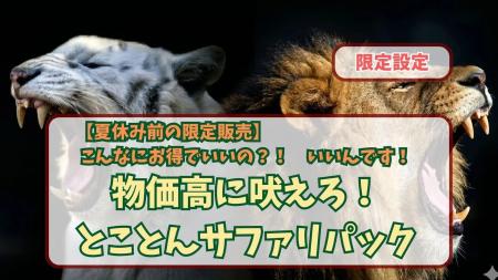 物価高騰に立ち向かう家族応援プラン 期間限定販売の