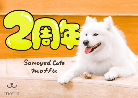 サモエドカフェmoffu、2周年で来場者25万人突破--“触