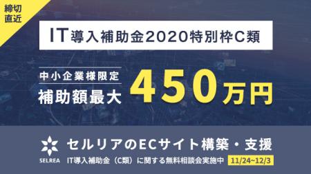 IT導入支援補助金を利用したECサイト構築のオンライン