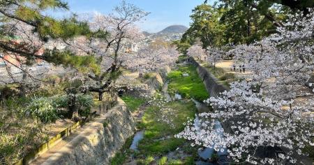 【5月24日開庵】西宮・夙川に、暮らしに溶け込む住宅