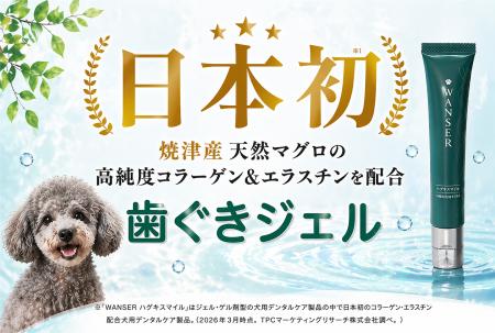愛犬のオーラルケア、実は「歯」より「歯ぐき」が重要