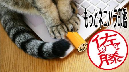 ハンコの常識を覆し、猫が名前の邪魔をする姿を再現し
