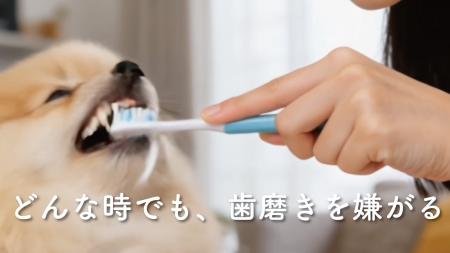 歯磨きは嫌いです──