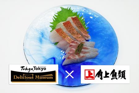 角上魚類の味が有明で堪能できる貴重な３日間！‘‘Toky