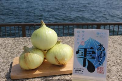 「淡路島の新玉ねぎ」の通販が解禁！毎年即完売の人気