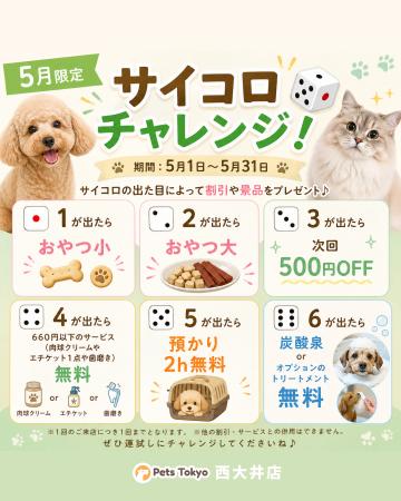 【PetsTokyo 西大井店】５月限定！サイコロチャレンジ